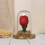Personalized Eternal Red Rose Glass Dome