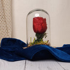 Personalized Eternal Red Rose Glass Dome